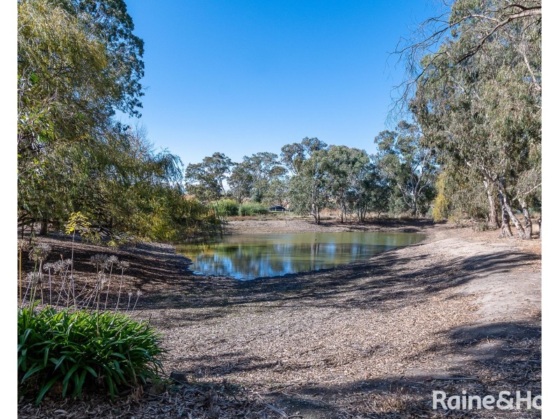 16 Bald Hills Road, Blakiston SA 5250