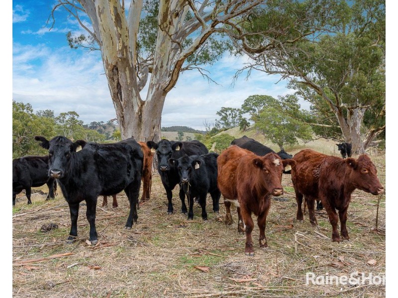 Retreat Valley Road, Gumeracha SA 5233