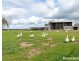 290 Hope Watts Road, Brukunga SA 5252