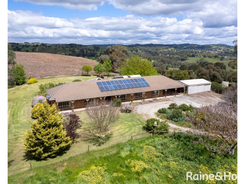 447 Winton Road, Forreston SA 5233