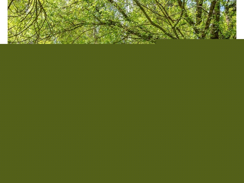 74 Cricklewood Road, Heathfield SA 5153