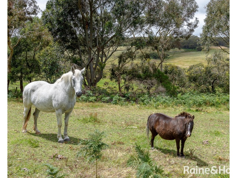 267 Phillips Road, Hope Forest SA 5172