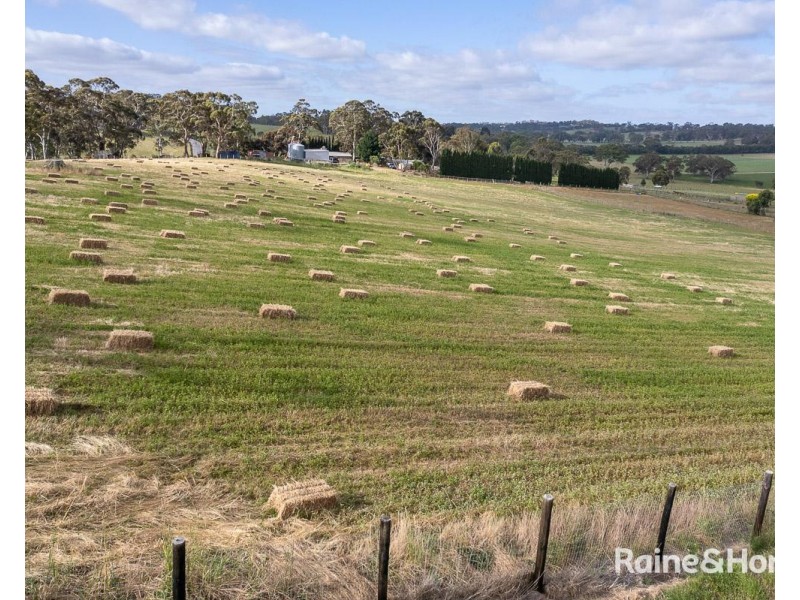 19 Chambers Road, Nairne SA 5252