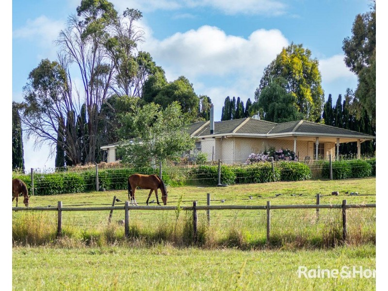 19 Chambers Road, Nairne SA 5252