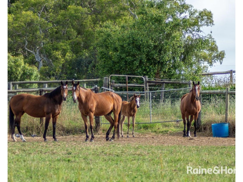 19 Chambers Road, Nairne SA 5252