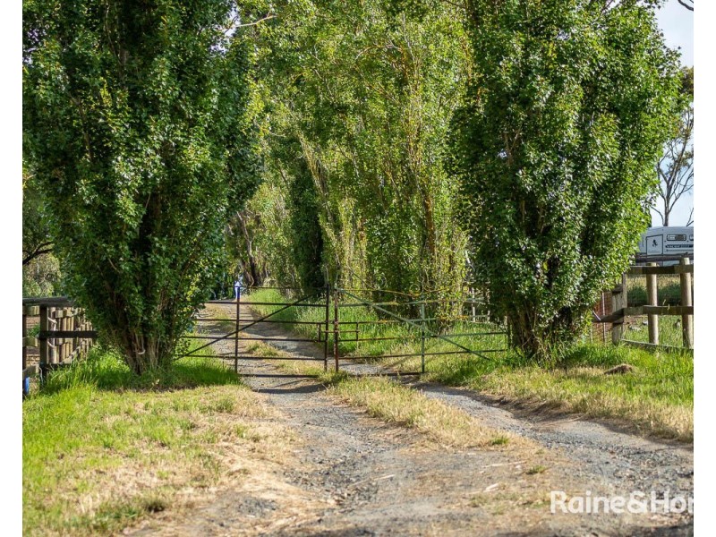 19 Chambers Road, Nairne SA 5252