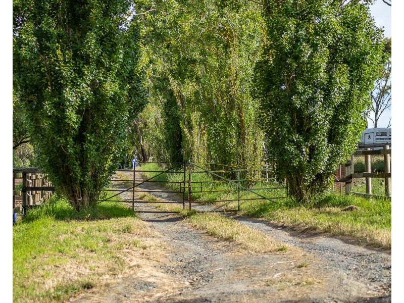 19 Chambers Road, Nairne SA 5252