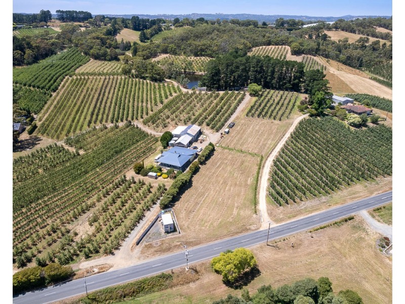 Swamp Road, Lenswood SA 5240