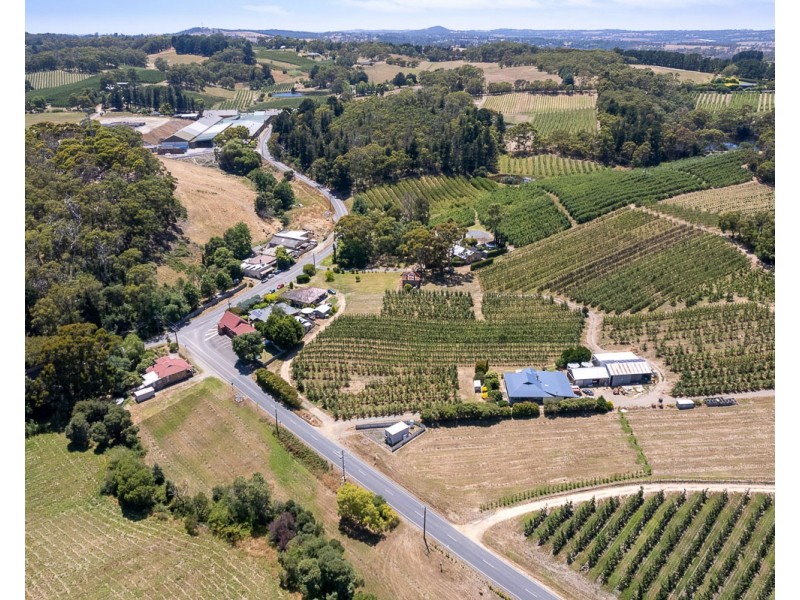 Swamp Road, Lenswood SA 5240