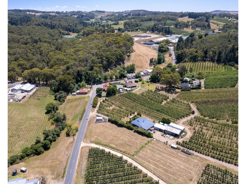 Swamp Road, Lenswood SA 5240