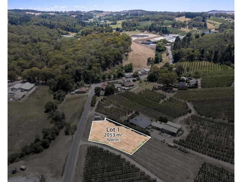 Swamp Road, Lenswood SA 5240