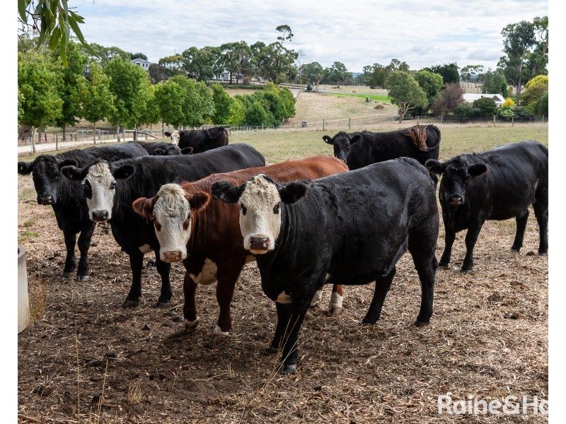 92a Murdoch Hill Road, Woodside SA 5244