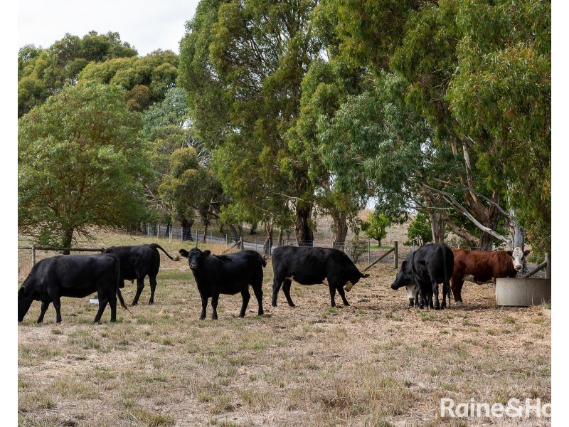 92a Murdoch Hill Road, Woodside SA 5244