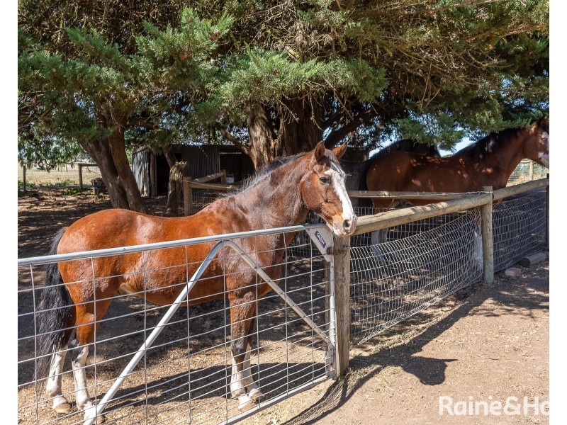 37 Long Valley Road, Wistow SA 5251