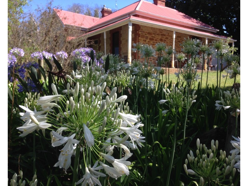 429 Cudlee Creek Road, Lobethal SA 5241
