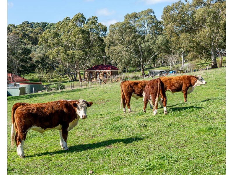 52 Gillman Road, Oakbank SA 5243