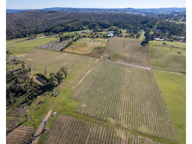 53 Brettig Road, Lobethal SA 5241