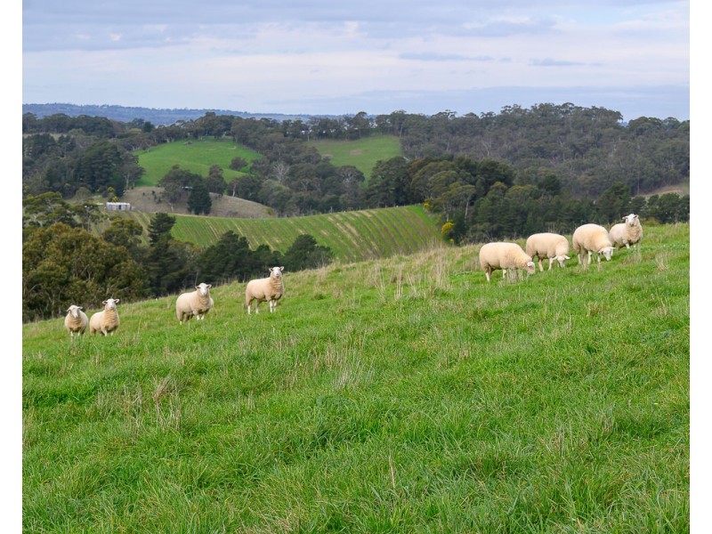 1400 Lobethal Road, Forest Range SA 5139