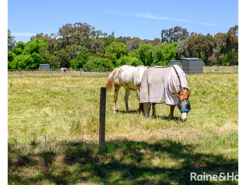 134 Size Road, Oakbank SA 5243