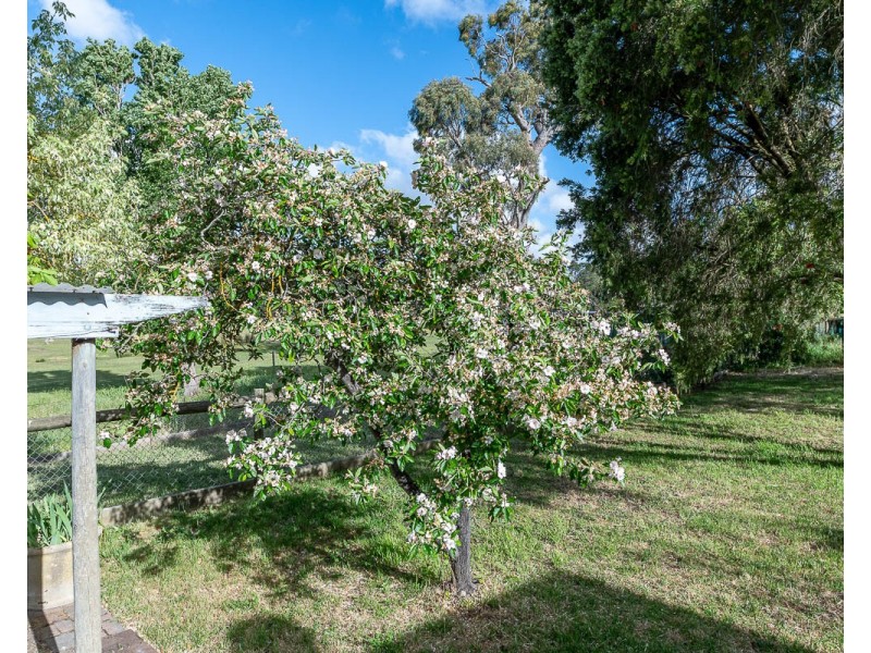 26 Cranes Road, Birdwood SA 5234