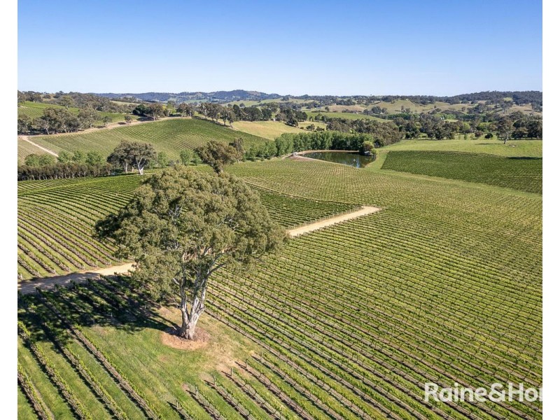 66 Mylkappa Road, Birdwood SA 5234