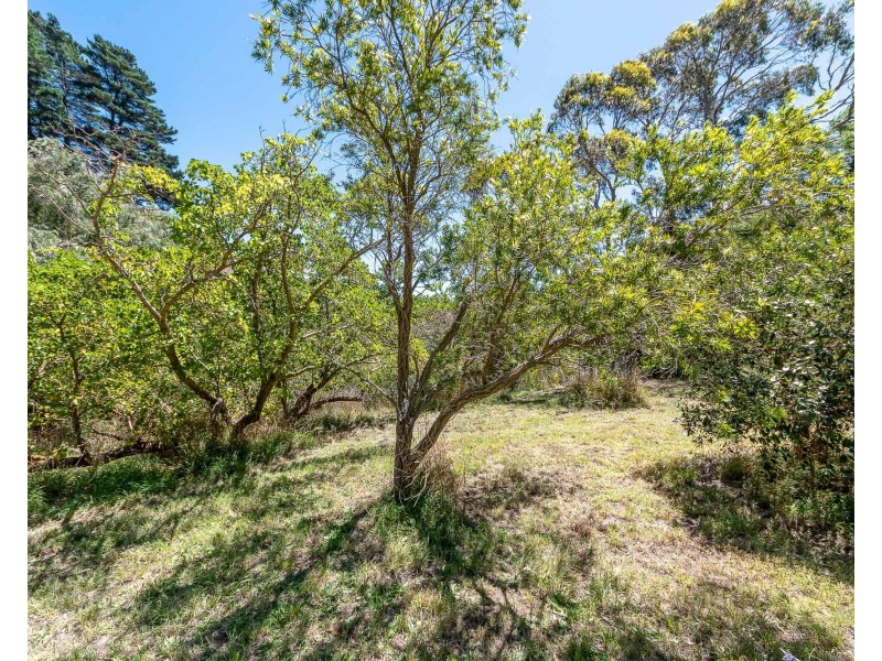 96 Dashwood Gully Road, Kangarilla SA 5157
