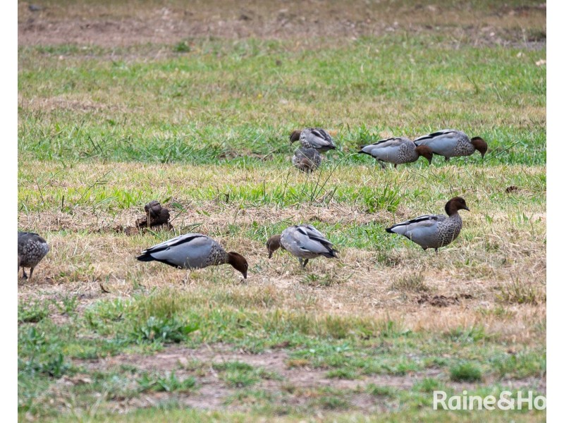 702/40 Henry Road, Littlehampton SA 5250