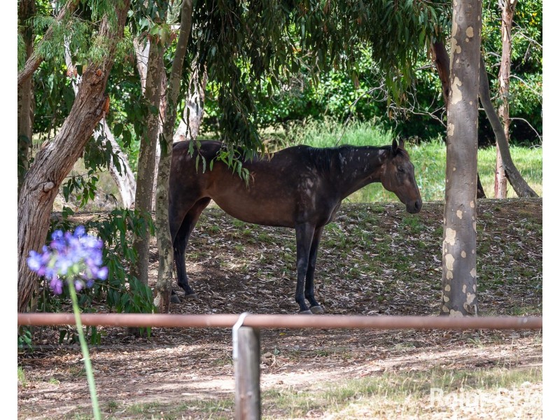 702/40 Henry Road, Littlehampton SA 5250