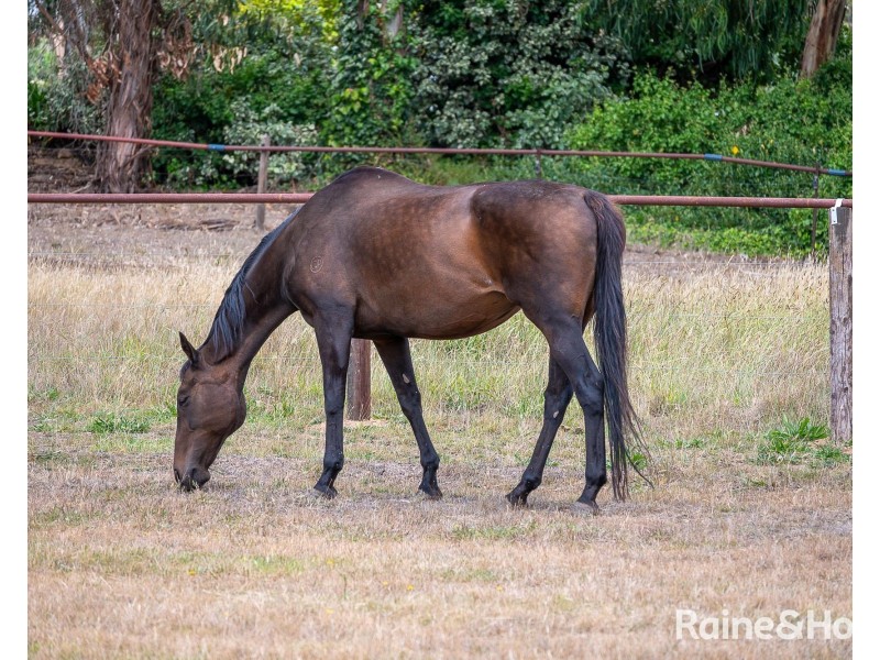 702/40 Henry Road, Littlehampton SA 5250
