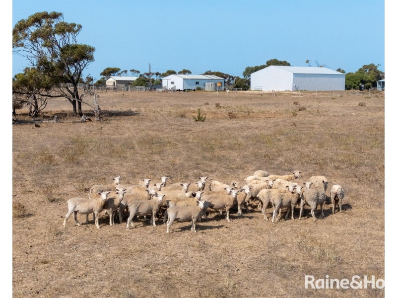 1346 Nine Mile Road, Milang SA 5256