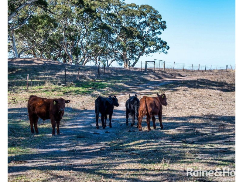 Lot 4 Charcoal Pit Road, Harrogate SA 5244