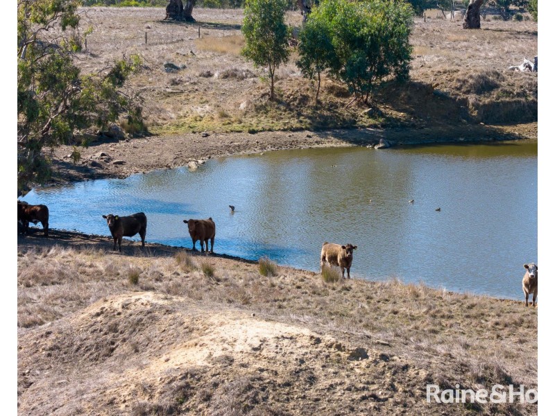 Lot 4 Charcoal Pit Road, Harrogate SA 5244