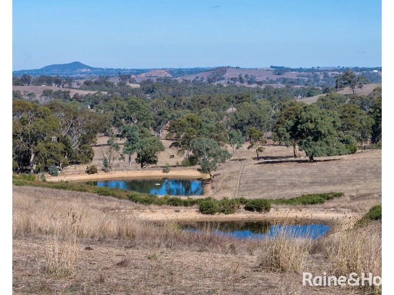 Lot 4 Charcoal Pit Road, Harrogate SA 5244