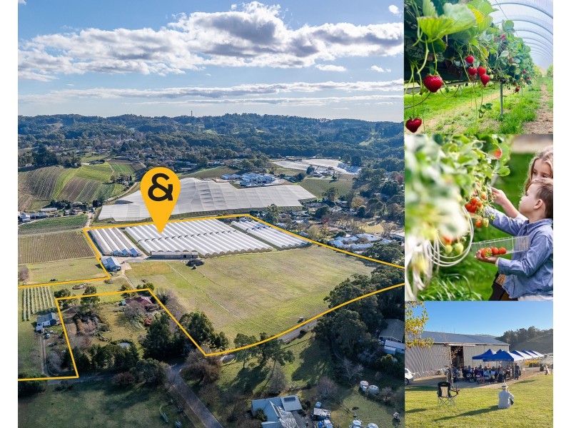 60 Swamp Road, Uraidla SA 5142