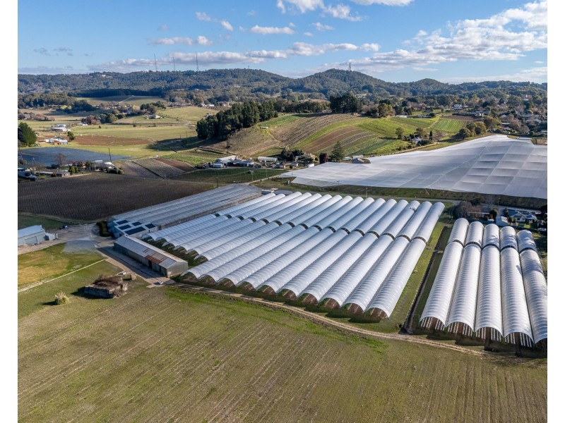 60 Swamp Road, Uraidla SA 5142