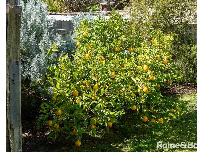 15 Fowler Street, Woodside SA 5244