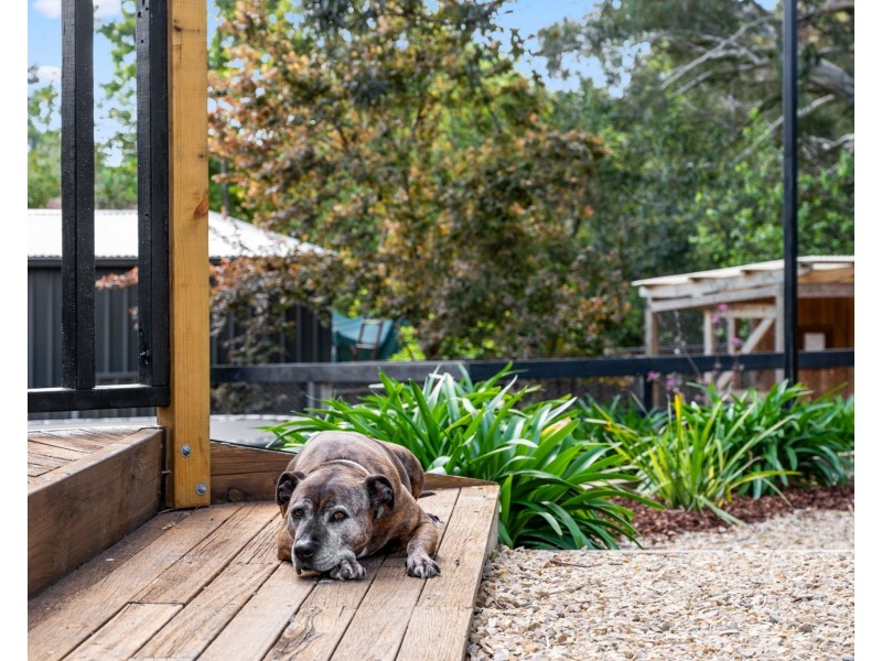 49 Elizabeth Street, Woodside SA 5244