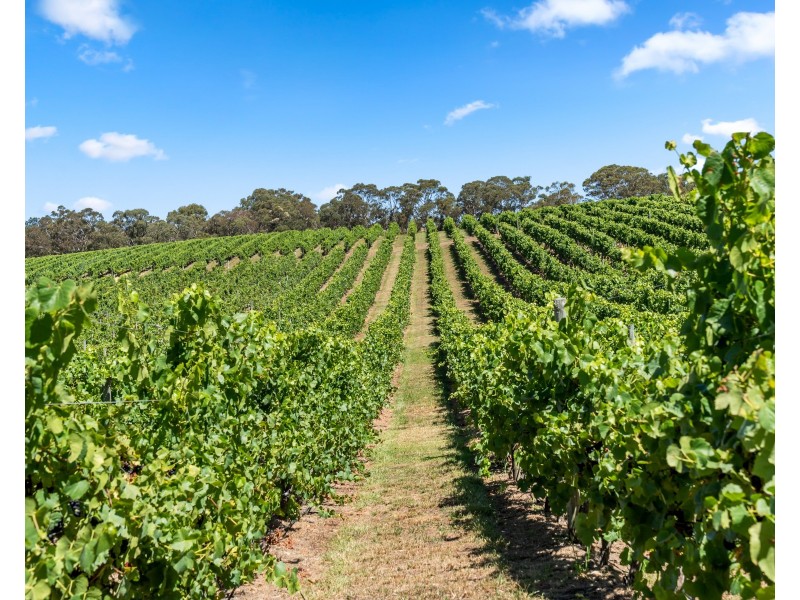 71 Davis Road, Macclesfield SA 5153