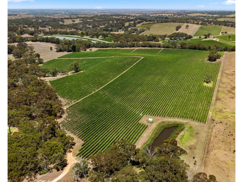 71 Davis Road, Macclesfield SA 5153