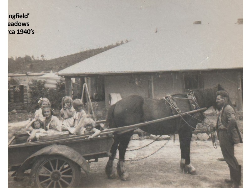 16 Bingfield Lane, Meadows SA 5201