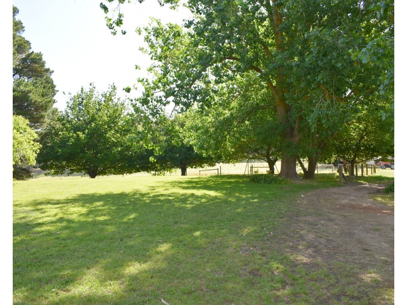 16 Bingfield Lane, Meadows SA 5201