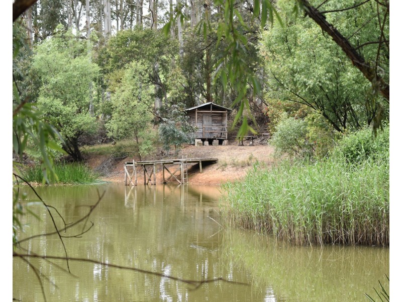 16 Bingfield Lane, Meadows SA 5201