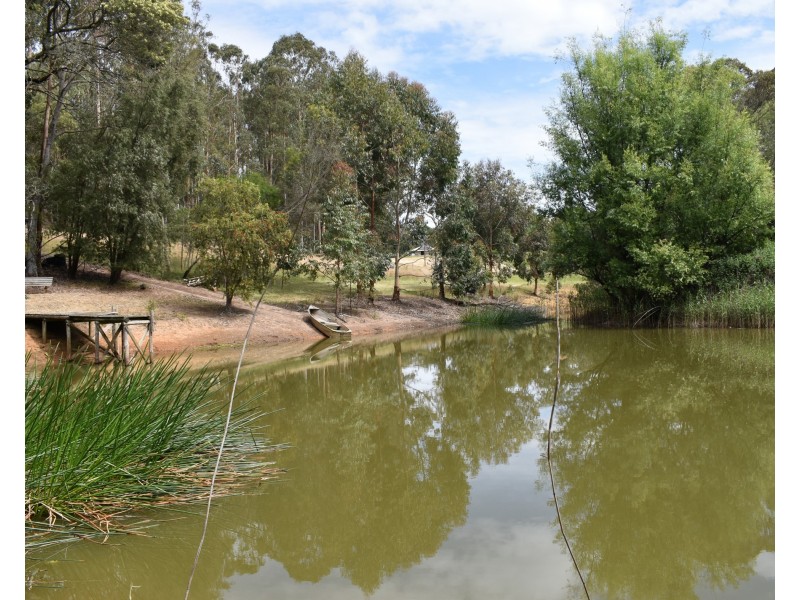 16 Bingfield Lane, Meadows SA 5201