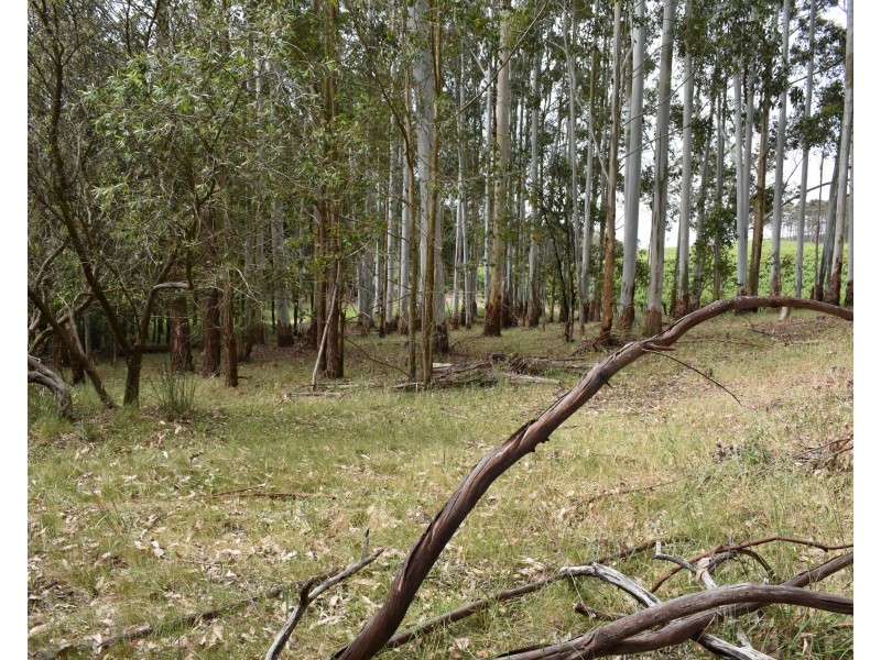 16 Bingfield Lane, Meadows SA 5201