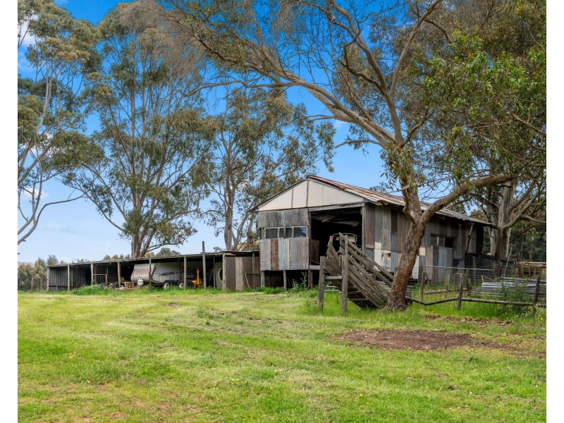 16 Bingfield Lane, Meadows SA 5201