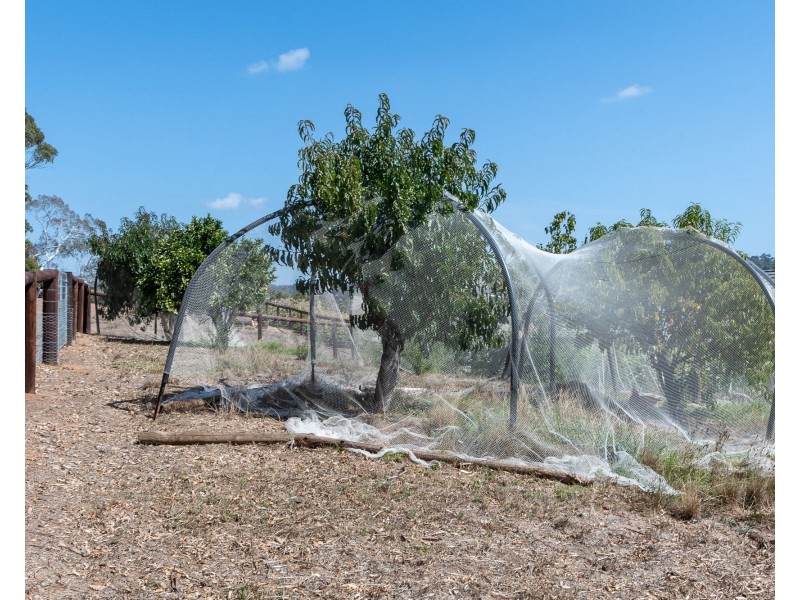 32 Storch Lane, Hahndorf SA 5245