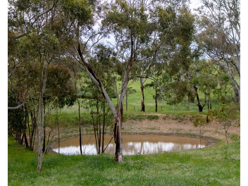 159A Military Road, Woodside SA 5244