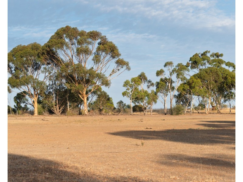 16 Helen Court, Strathalbyn SA 5255