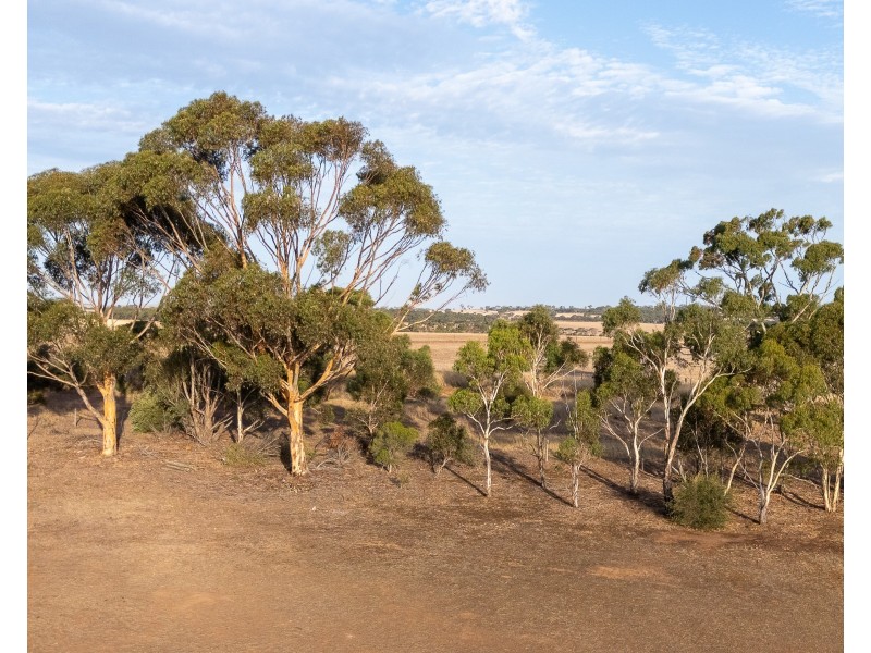 16 Helen Court, Strathalbyn SA 5255