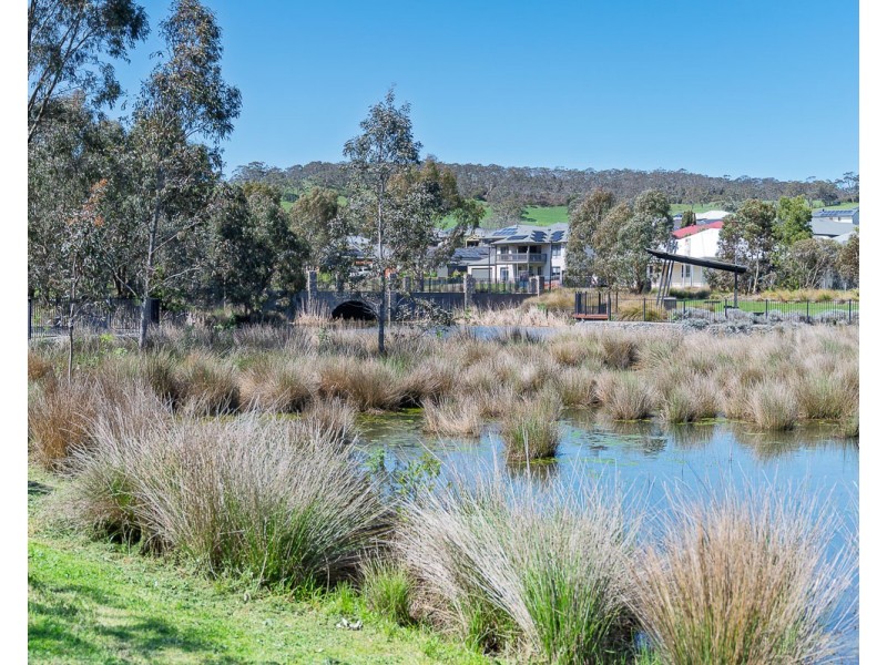 2 Catt Court, Meadows SA 5201